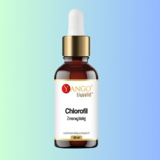 Chlorofil morwy białej z olejkiem miętowym, Yango 30ml - naturalne oczyszczanie organizmu