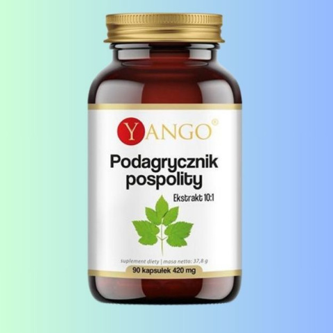 Podagrycznik pospolity Yango – Naturalne wsparcie dla stawów i układu moczowego, 90 kapsułek