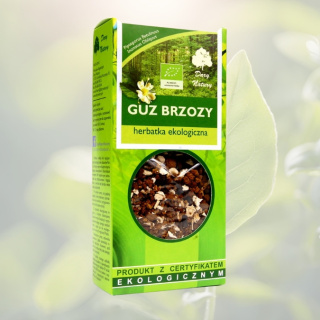 GUZ BRZOZY CHAGA - herbatka ekologiczna, Dary Natury, 50g