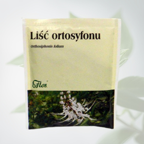 Liść ortosyfonu - wsparcie układu moczowego, Flos, 50g