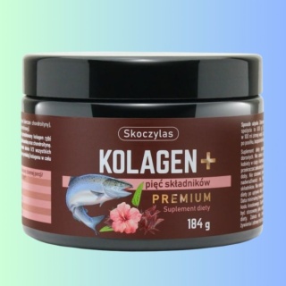 KOLAGEN+ PREMIUM z łososia – pięć składników, Skoczylas, 184g