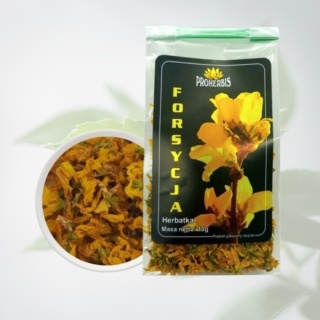 Forsycja kwiat (Forsythia intermedia) – naturalna herbatka z kwiatów PROHERBIS 10 g