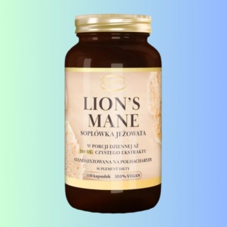 Lion's Mane Soplówka Jeżowata 530 mg – Asepta – suplement diety wspierający funkcje mózgu, koncentrację i pamięć – 100 kapsułek
