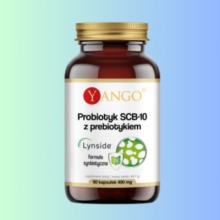 Probiotyk SCB-10 + Prebiotyk – Yango – suplement diety wspierający odporność i mikroflorę jelitową – 90 kapsułek