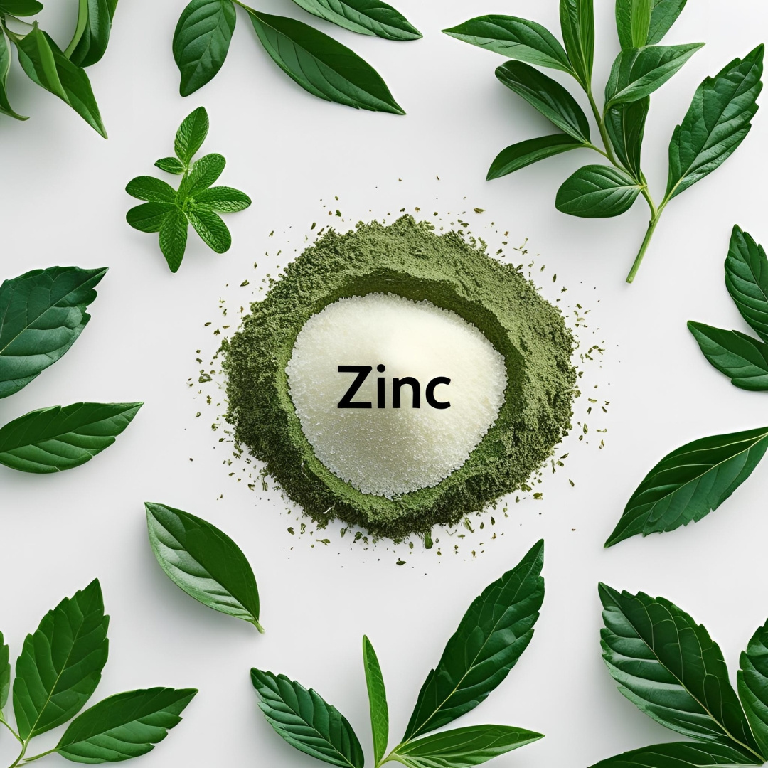 Cynk organiczny – najlepiej przyswajalna forma na odporność i skórę. Właściwości i dawkowanie | Herba+